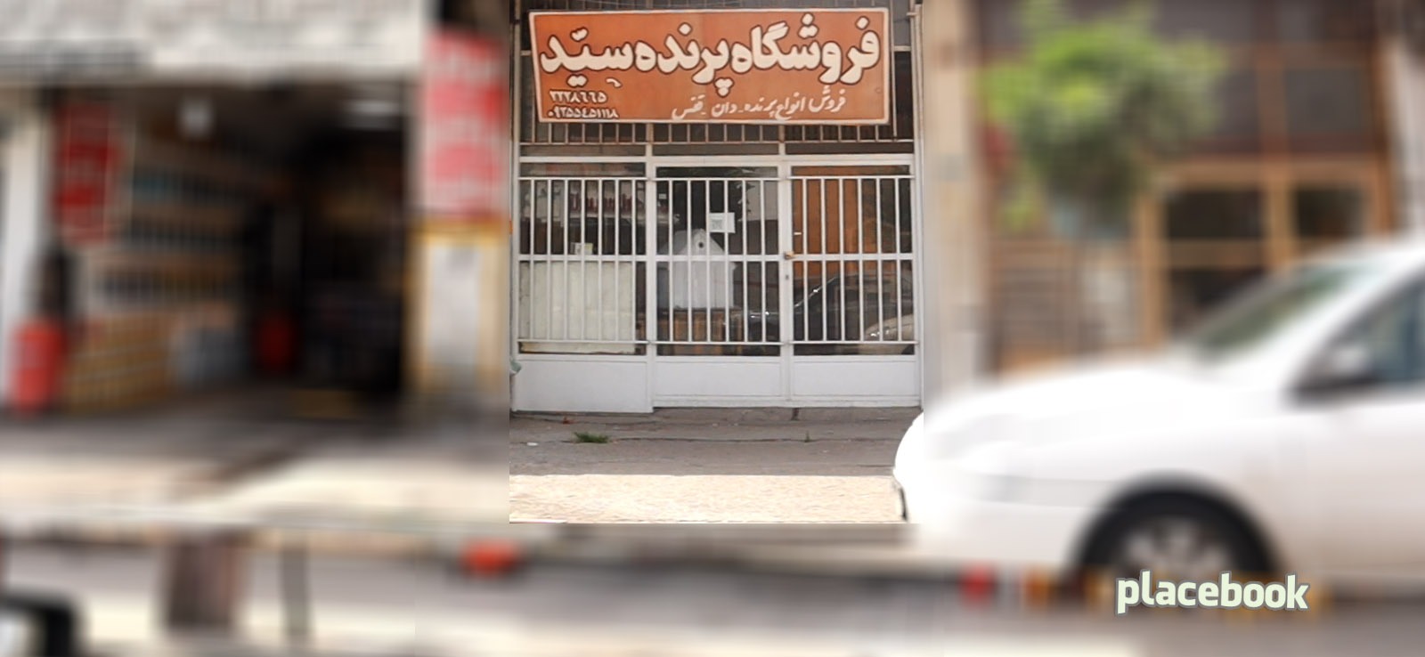 فروشگاه پرنده سید
