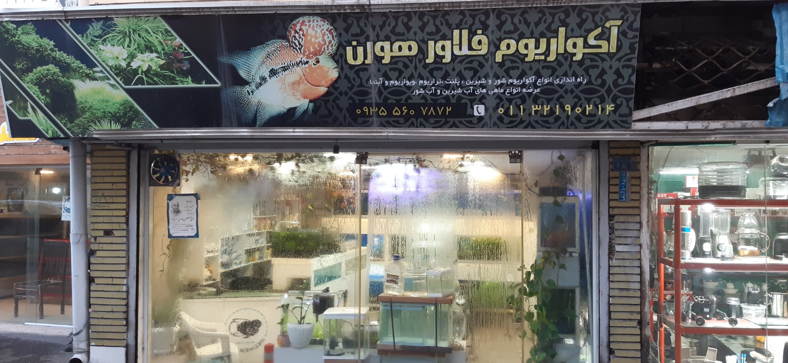 فلاور هورن
