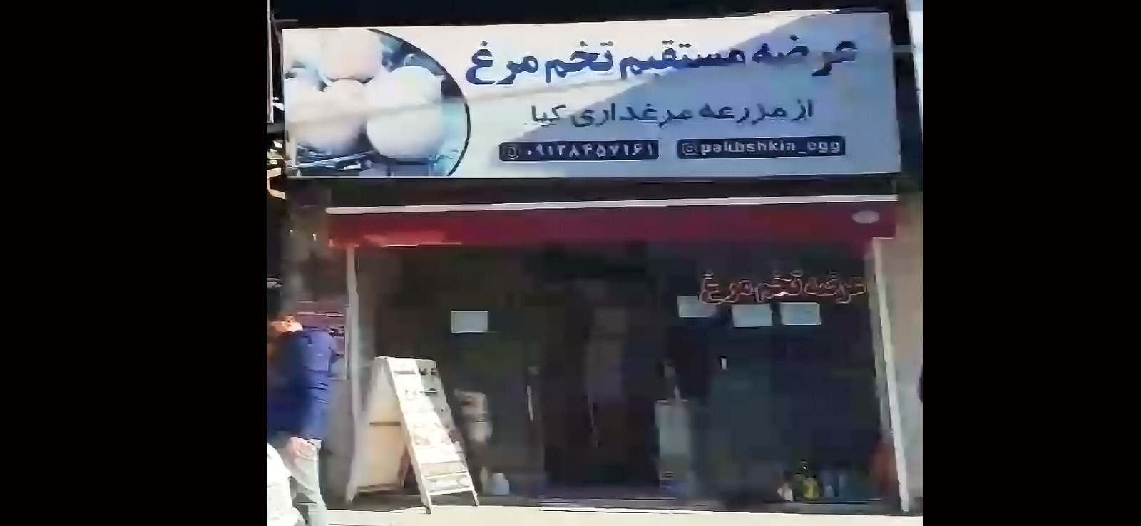 عرضه مستقیم تخم مرغ - از مزرعه مرغداری کیا