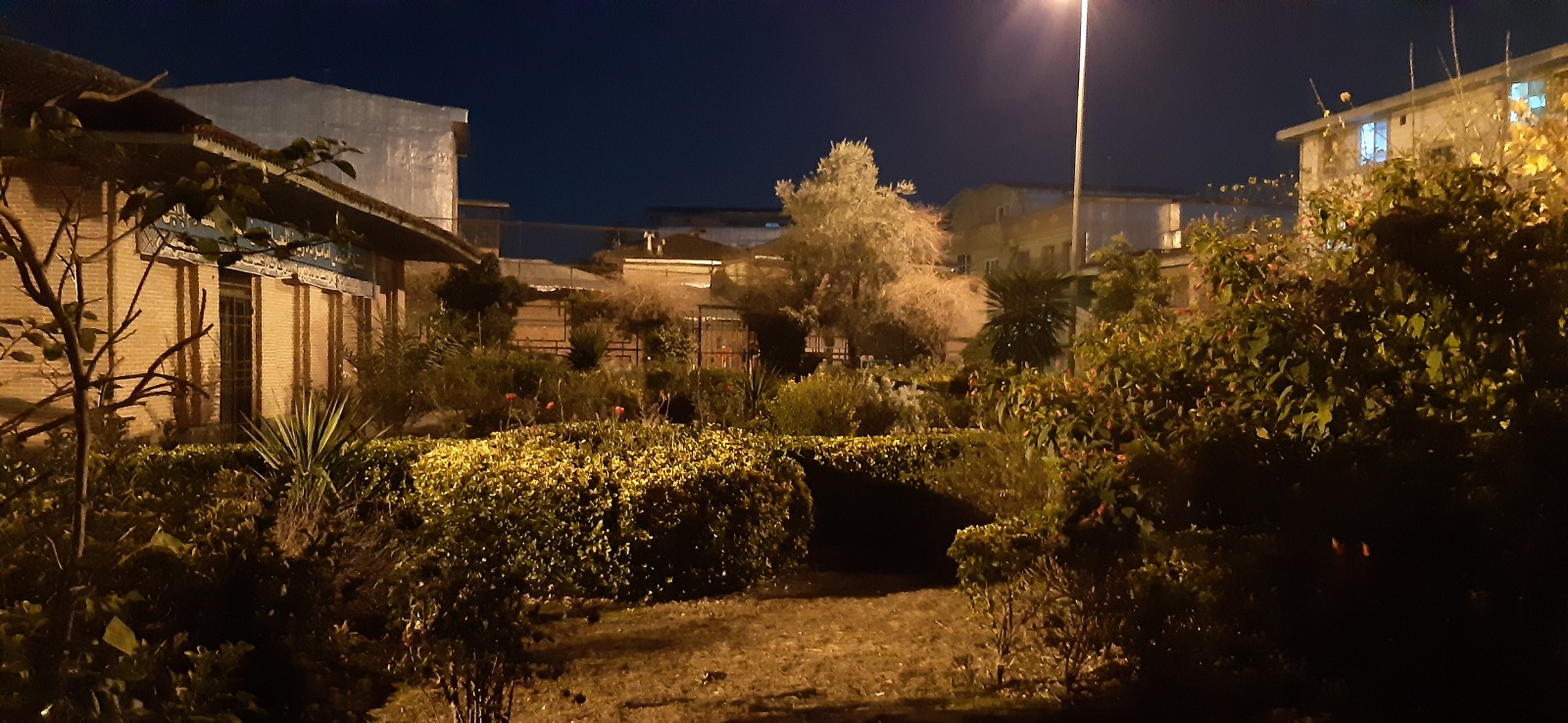 پارک چوبی