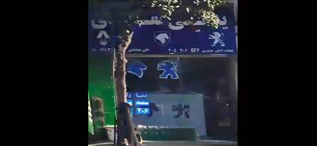 لوازم یدکی مقدادی - پژو - سمند - پرشیا - رانا