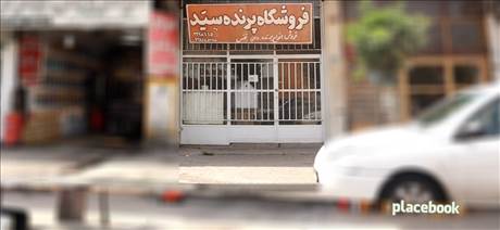 فروشگاه پرنده سید