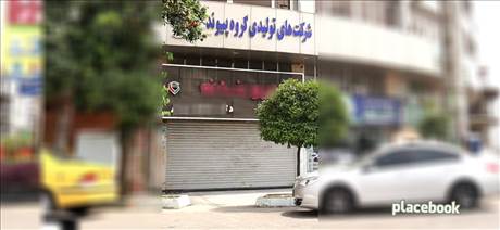 شرکت های تولیدی گروه پیوند