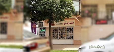 عطاری گل یخ